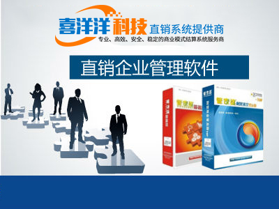 四维一体 软件开发、技术开发、制度设计与企业营销策划融合的咨询服务体系