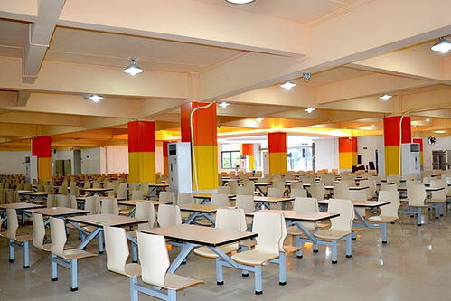 甘肃多场考试延期、多所学校停课，不合格口罩害人害己——咨询策划服务建议